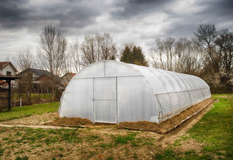 green-tent-within-a-greenhouse-roti-n-rice